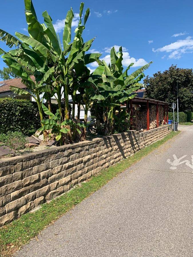 Ferienwohnung für 4 Personen, mit Ausblick und Garten in Allensbach - 4