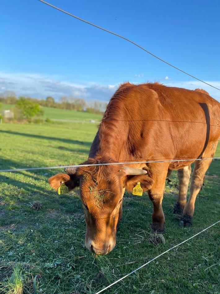 Ferienhaus für 8 Personen, mit Whirlpool und Garten sowie Sauna im Frankenwald - 3