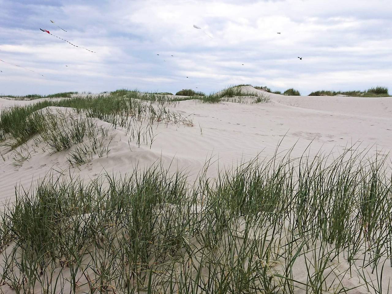 4 Personen Ferienhaus in Fanø in Nordby, Wadden Sea National Park