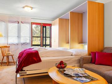 Vakantieappartement voor 2 Personen in Ernen, Aletsch Arena, Afbeelding 4