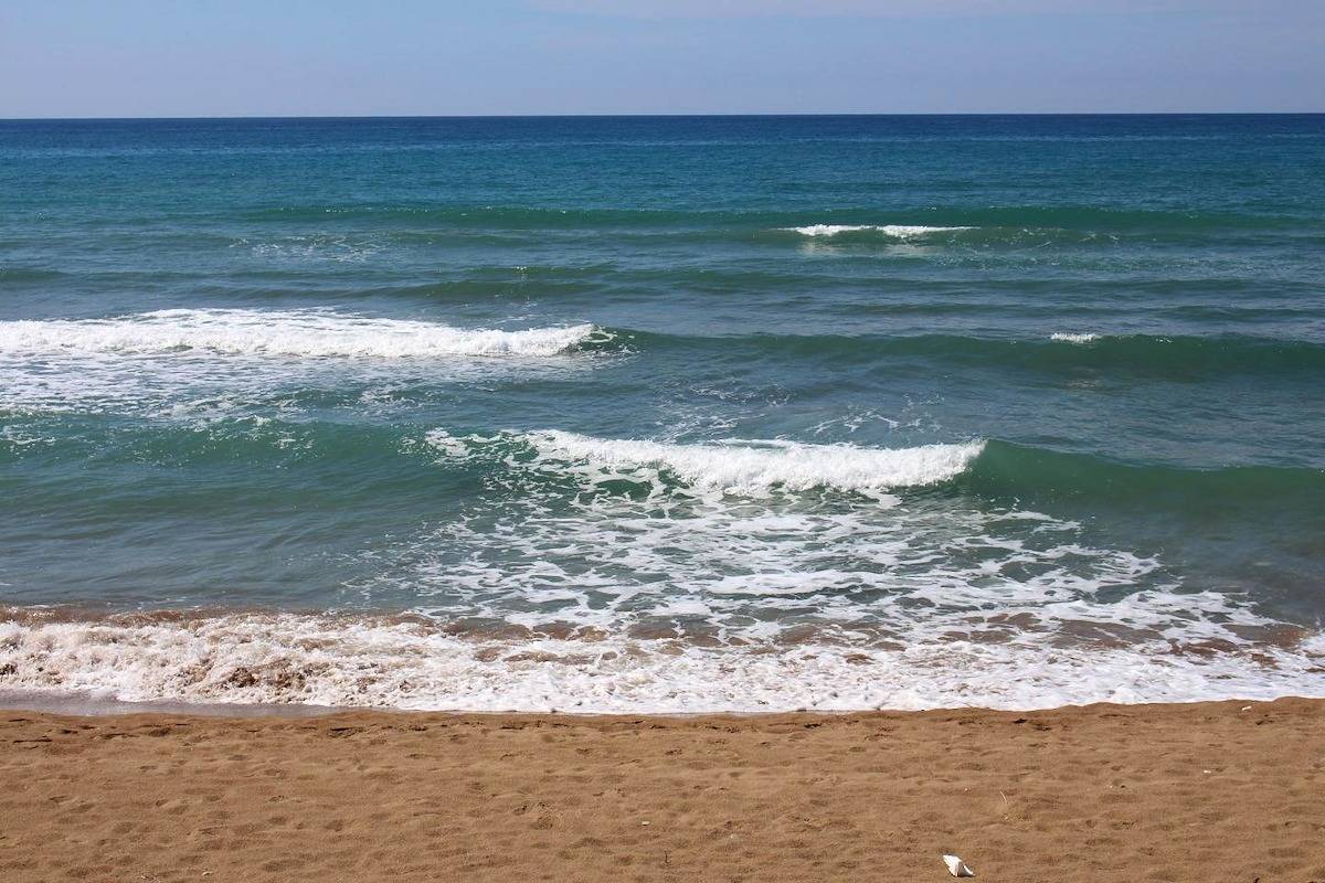 Calm located, amid an olive grove, close to the beach, wifi | holiday house Ilia, Peloponnese, foto 10
