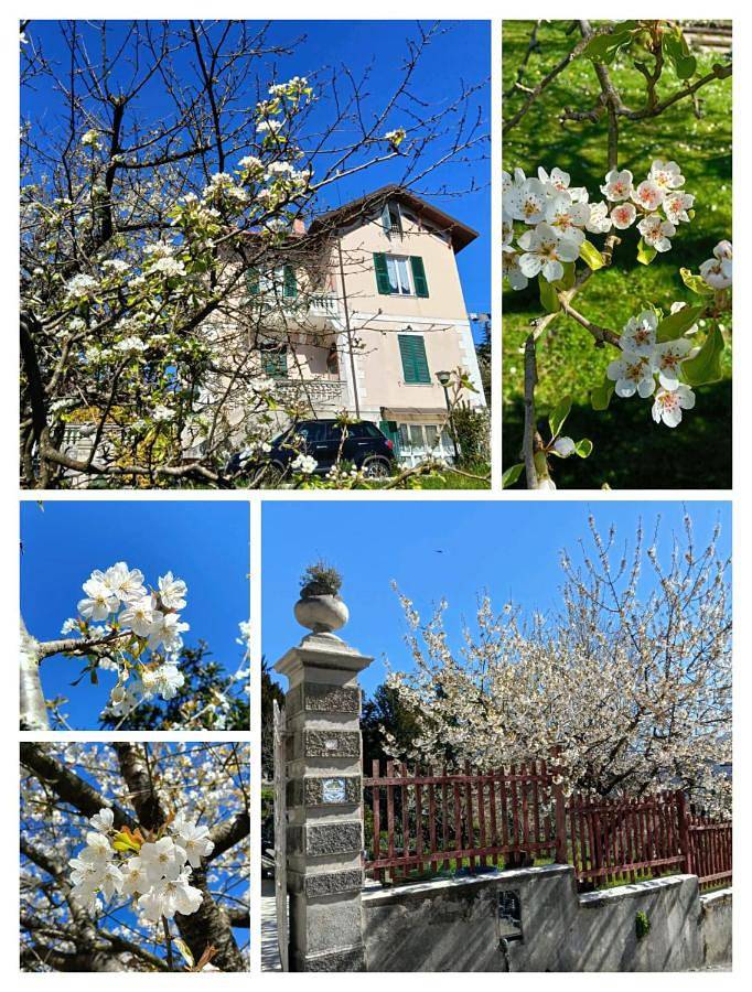 Location de vacances pour 3 personnes, avec jardin à Busalla