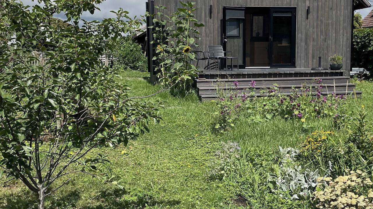 Ferienhaus für 2 Personen (18 m²) in Kressbronn am Bodensee in Kressbronn am Bodensee, Region Bodensee-Oberschwaben