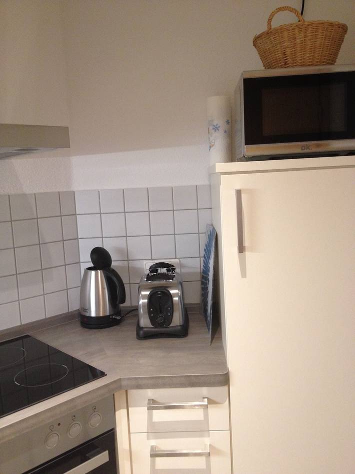 Entire apartment, Elbappartement Dresden – Modern Apartment Near the Elbe with Terrace and Garden Access in Pieschen (Dresden), Dresden