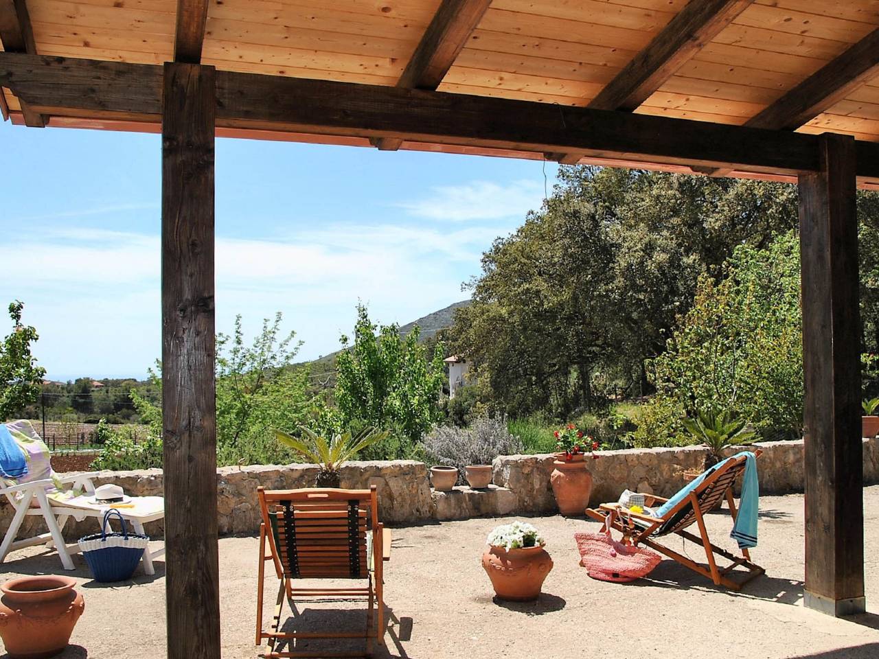 Cycas in Itri, Latina Province