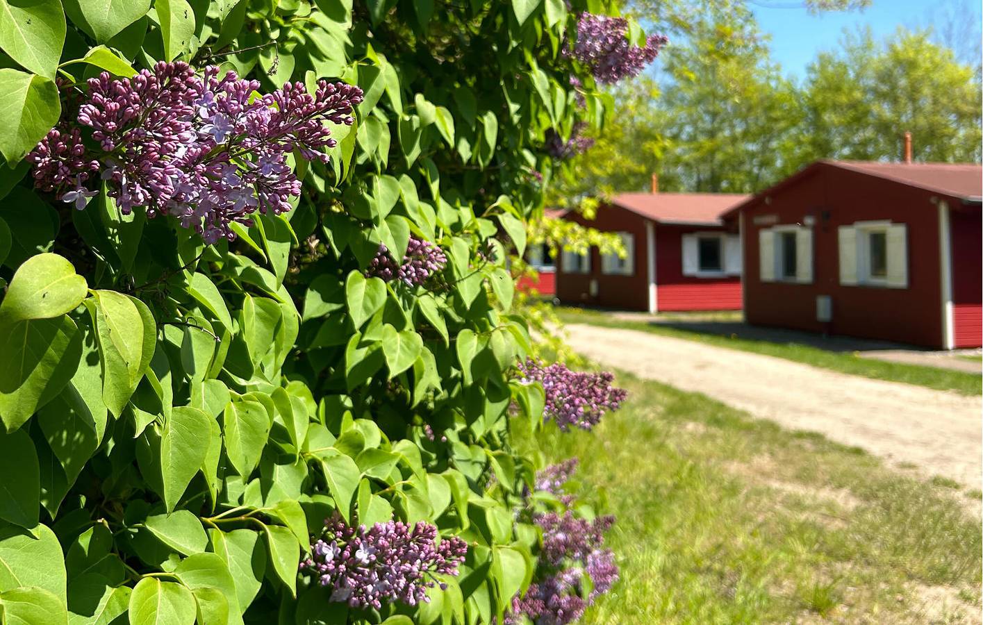 Gemütliche 70 m² große Wohnung mit Terrasse, WLAN und Parkplatz – 400 m vom Strand entfernt in Barth, Vorpommern-Rügen