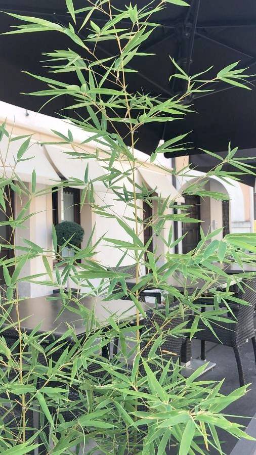 Chambre d’hôte pour 3 personnes, avec jardin