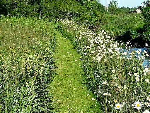 Cottage "James Tymon" with terrace and garden in Condado de Sligo