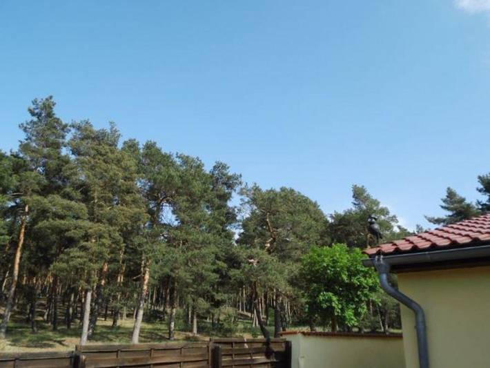 Ferienhaus für 4 Personen, mit Balkon und Garten, kinderfreundlich in Sachsen-Anhalt - 3