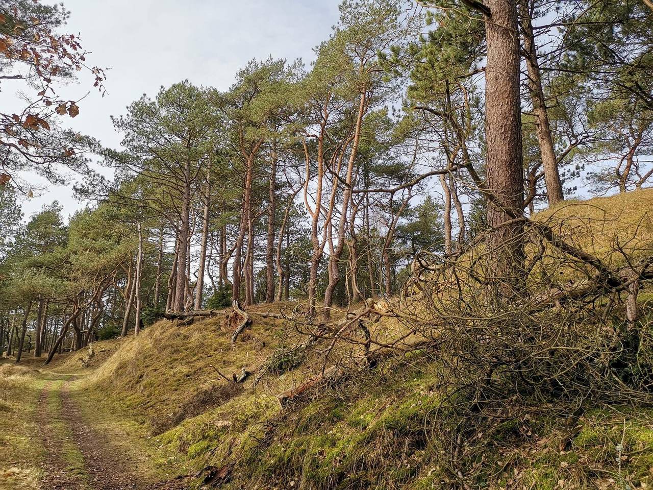 4 personas casa en Oksbøl in Región de Varde