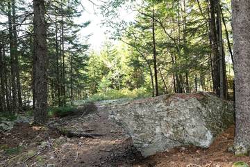 Cottage for 4 Guests in Surry (ME), Maine, Picture 3