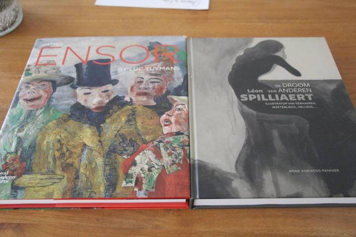 Chambre d’hôte pour 2 personnes, avec terrasse à Oostende - 3