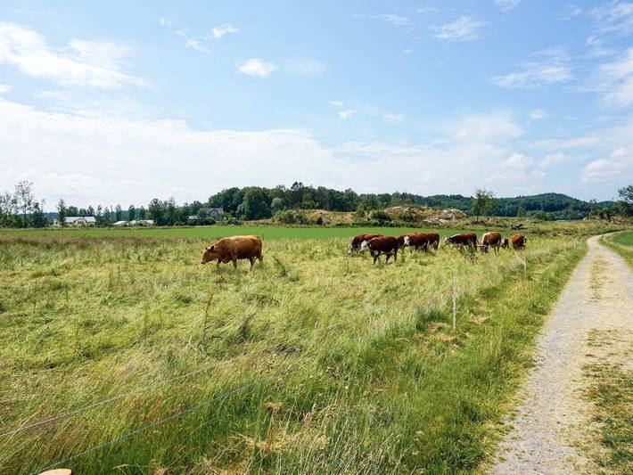 6 personer fritidhus i Sunne in Värmland