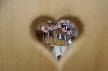Ferienwohnung für 4 Personen, mit Garten und Ausblick in Bezau