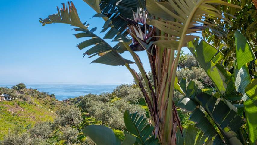 Ferienhaus für 8 Personen, mit Pool in Rincón de la Victoria - 4