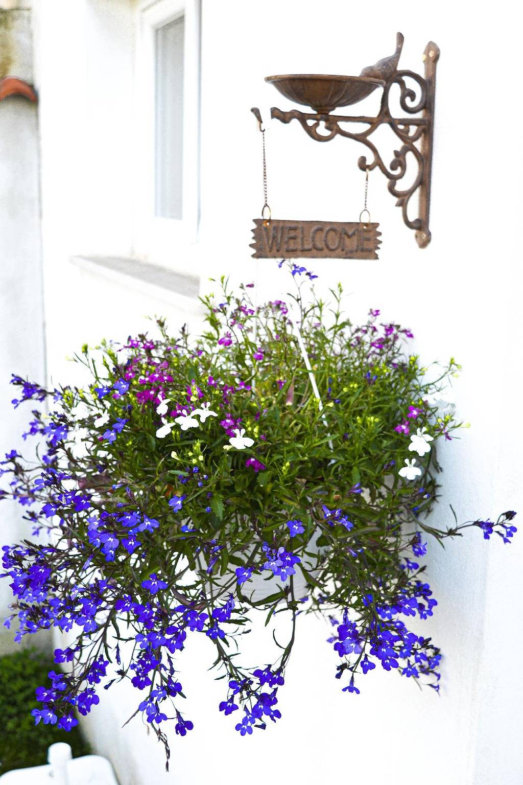 Appartamento intero, Holiday flat with private garden, sea view and communal pool in Ogliastro Cilento, Cilento