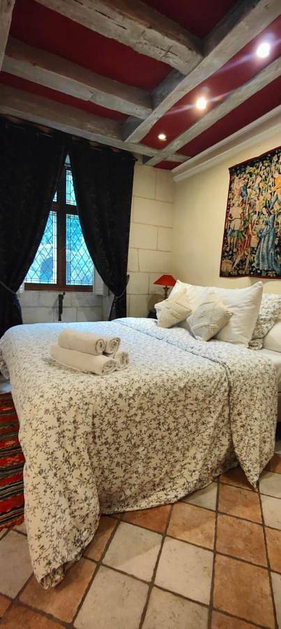 Double Room with Terrace in Amboise, Tours region