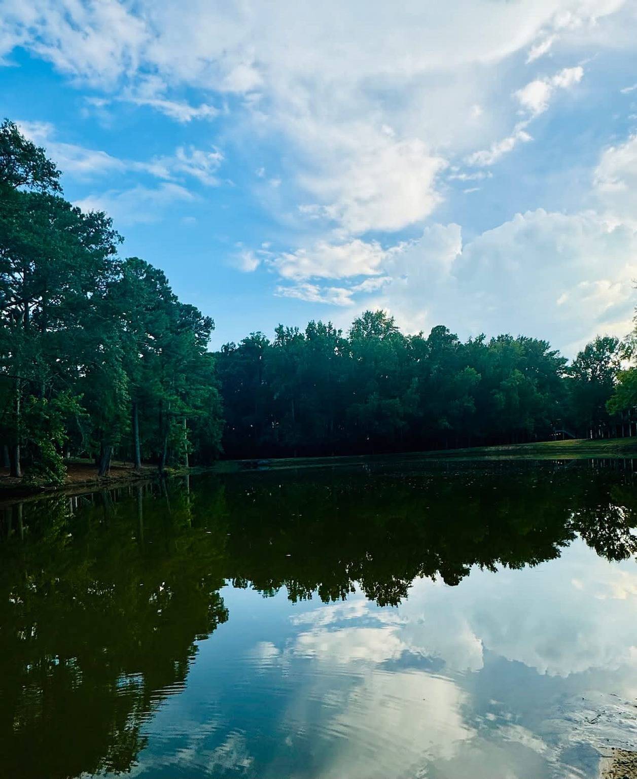 Apartamento entero, Lakefront Condo - King Bed  Full Kitchen in Auburn (AL), Alabama