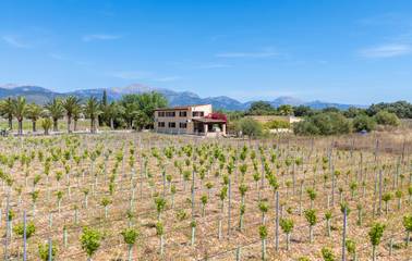 Finca in Binissalem, Mallorca Inselmitte für 8 