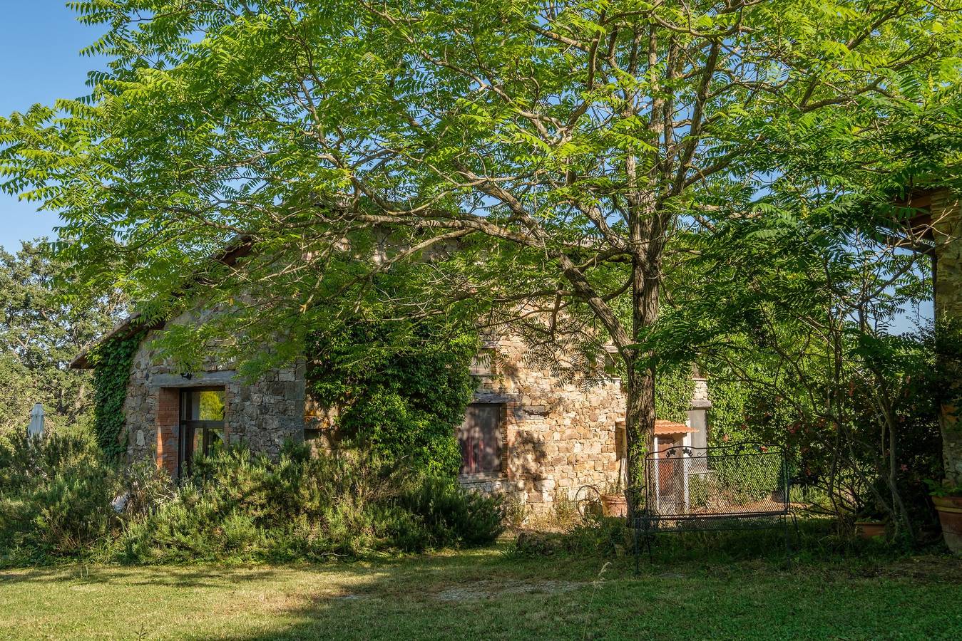 Agriturismo Stella Nord Podere Carbone con giardino, terrazza e Wi-Fi in Scansano, Provincia di Grosseto