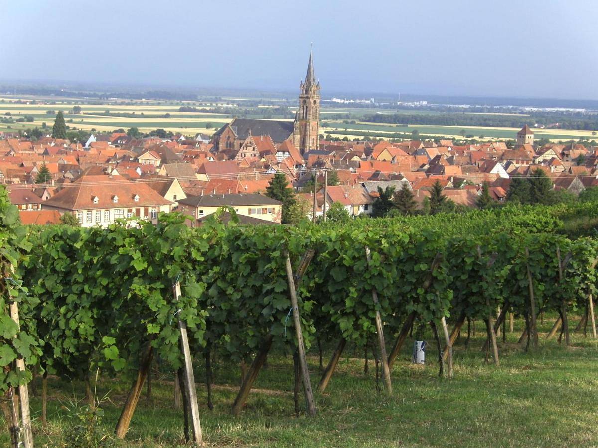 Chambres d'Hôtes Arnold in Dambach-la-Ville, Région de Sélestat-Erstein