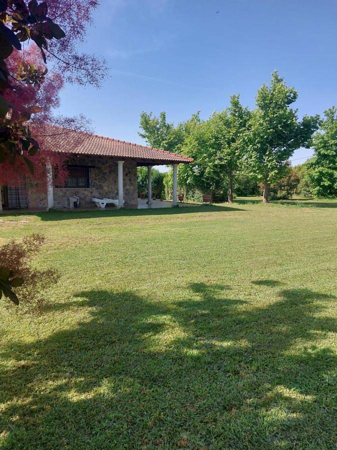 Chalet para 13 personas, con vistas además de jardín y piscina, Se admiten mascotas en Sierra de Gredos