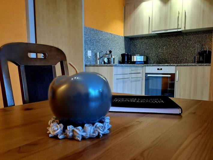 Ferienwohnung für 4 Personen, mit Terrasse in Arosa