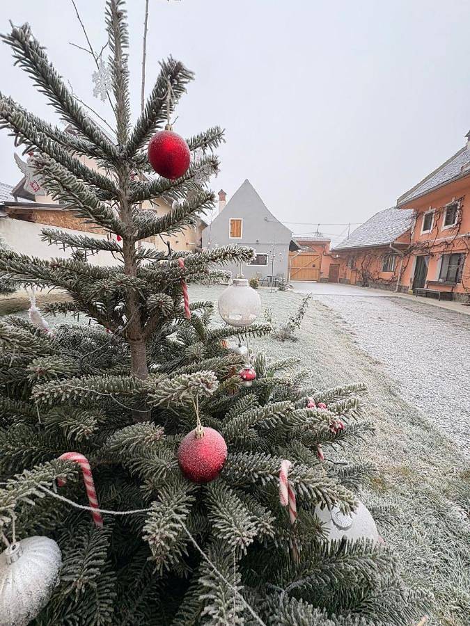 Gîte pour 3 personnes, avec jardin ainsi que sauna et vue, animaux acceptés dans Poiana Brasov - Brasov - 3