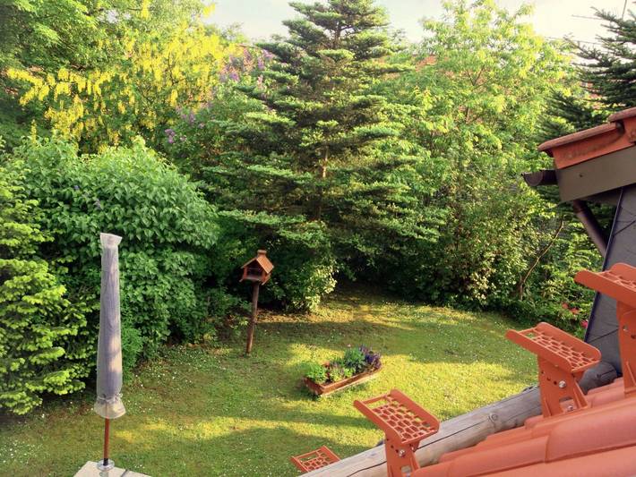 Ferienhaus für 5 Personen, mit Garten und Terrasse, mit Haustier in Goslar - 3