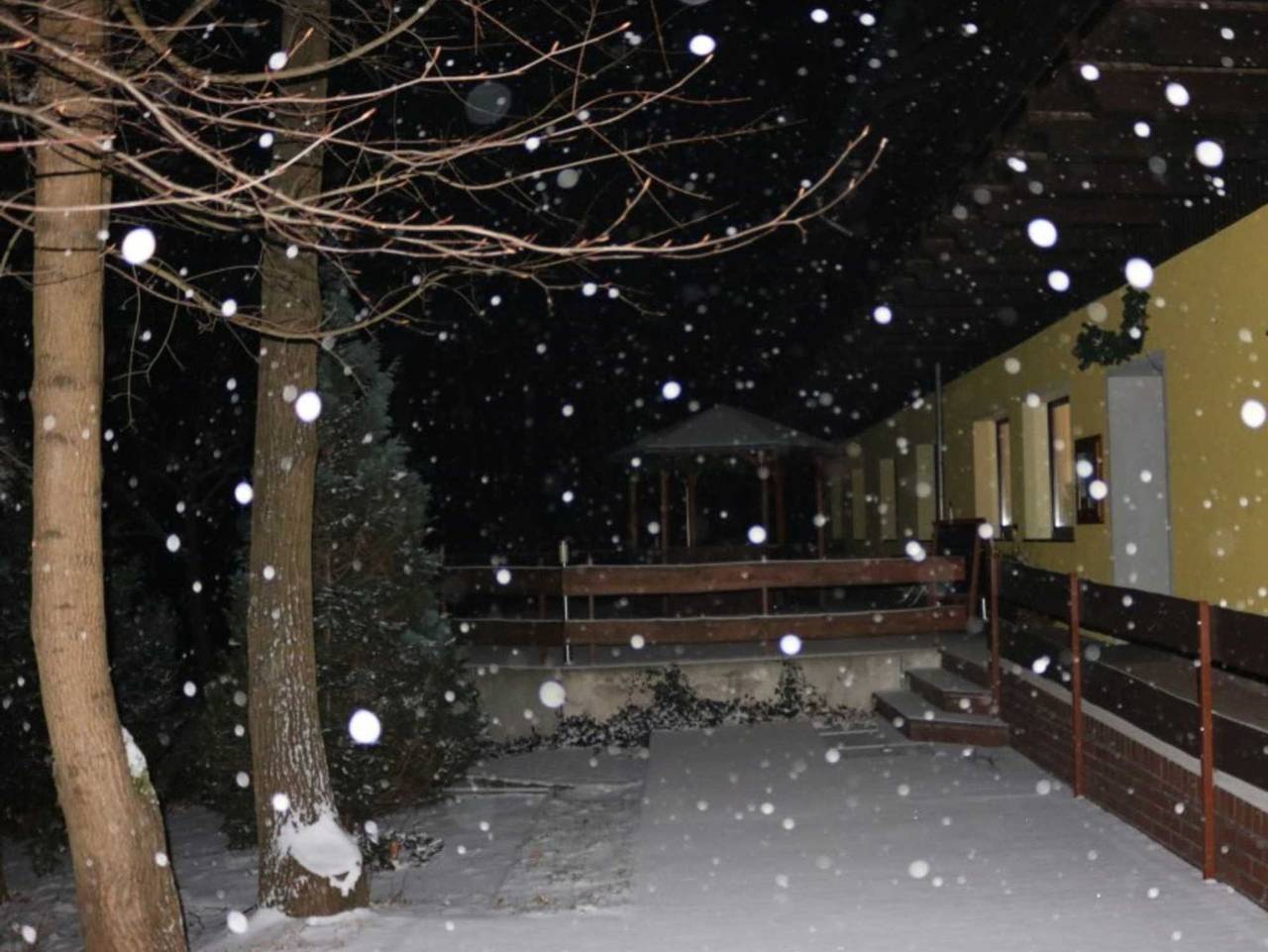 Hotel - Restaurant Karpfenschänke - Doppelzimmer Waldblick in Pinnow, Schenkendöbern
