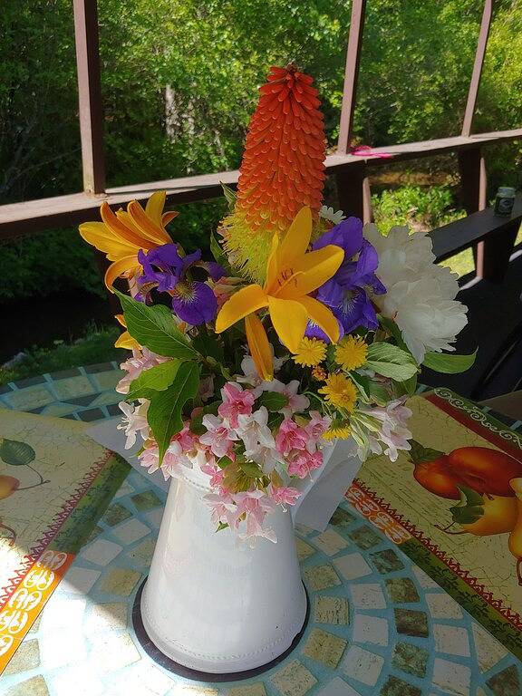 Blockhütte für 4 Personen, mit Garten, mit Haustier - 1