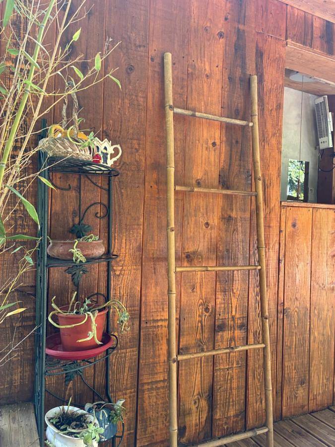 Location de vacances pour 3 personnes, avec piscine ainsi que vue et jardin à Plan-d'Orgon - 3