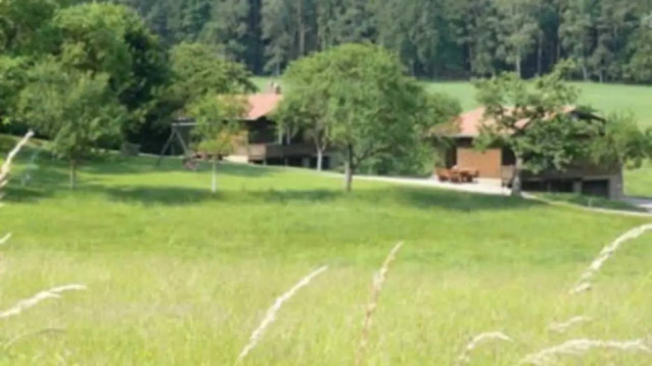 Ferienhaus für 4 Personen (65 m²) in Mossautal in Mossautal, Odenwaldkreis