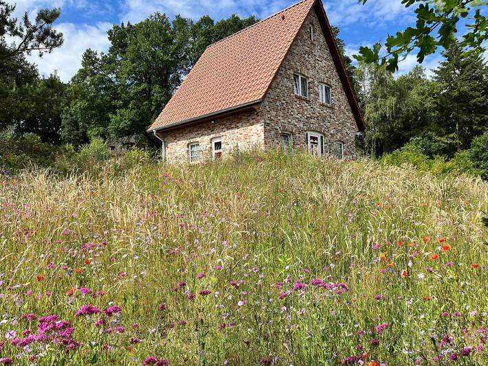 Ferienhaus für 4 Personen, mit Terrasse und Garten, mit Haustier in Landkreis Heidekreis - 2