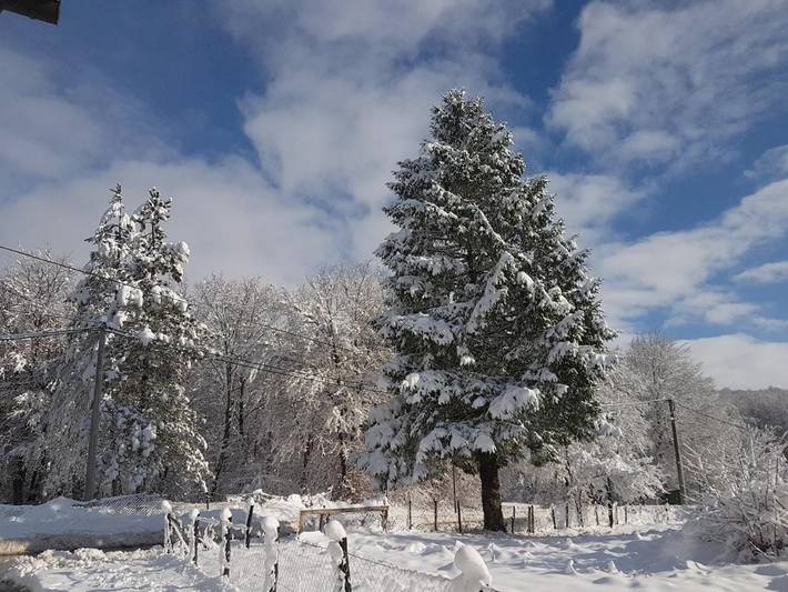 Maison d’hôte pour 3 personnes, avec vue et jardin dans Plitvička Jezera - 4