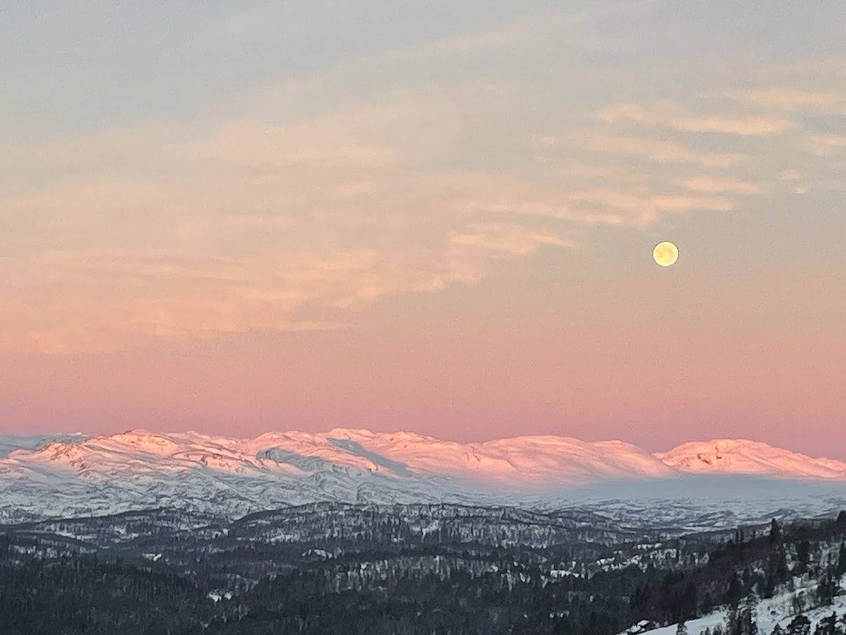 Bergperle mit Ski in/out in Rauland in Vinje