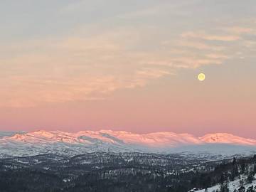 Chalet voor 6 Personen in Møsvatnet, Vestfold og Telemark, Afbeelding 1