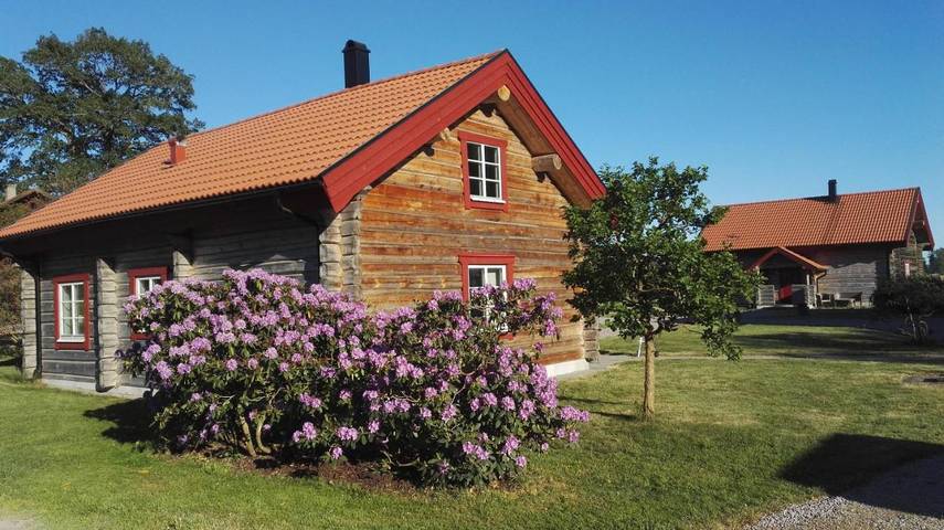 Ferienhaus für 4 Personen, mit Seeblick und Sauna sowie Ausblick und Garten, mit Haustier in Gullspang - 4