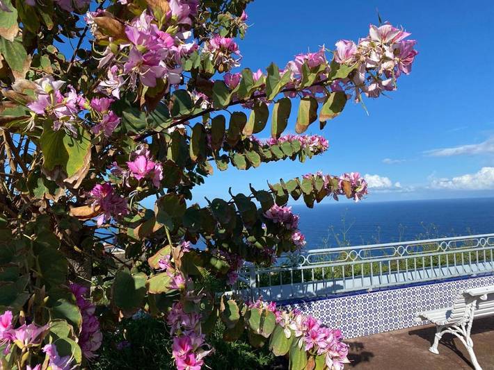 Apartamento de vacaciones para 3 personas, con Terraza y Jardín además de Piscina y Vistas en La Quinta