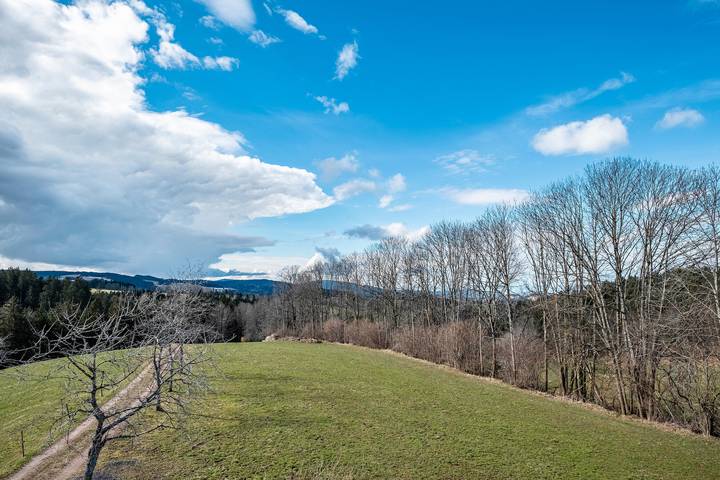 Ferienwohnung für 5 Personen, mit Garten, mit Haustier in St. Märgen - 3
