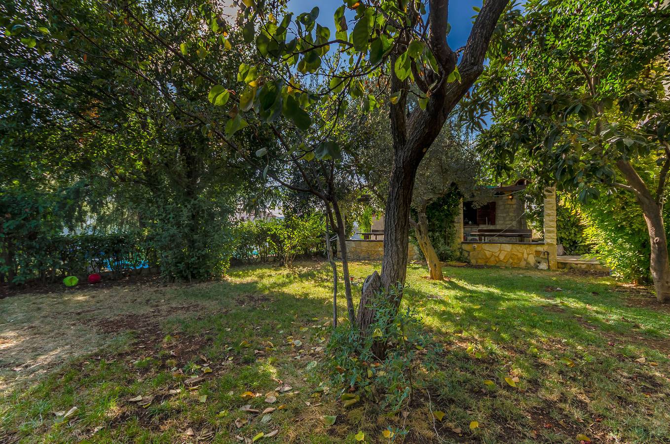 Cały apartament, Apartments Milivoj in Seget Vranjica, Żupania splicko-dalmatyńska