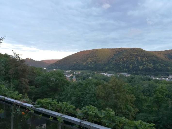 Ferienwohnung für 4 Personen, mit Balkon und Ausblick in Bad Ems - 3