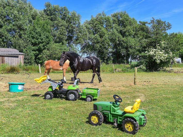 Bauernhof für 5 Personen, mit Garten und Terrasse, kinderfreundlich in Ostfriesland - 3