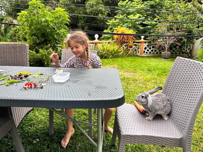 Gîte pour 5 personnes, avec jardin dans Takamaka - 4