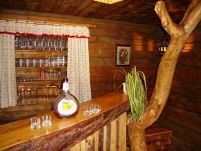 Ferienhaus/3 Schlafräume/Du od. Bad, Wc in Pichl-Preunegg, Schladming-Dachstein