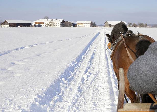 Springerhof - Ferienwohnung Sophie, 70 qm, Erdgeschoss, 2 Schlafzimmer in Schechen, Landkreis Rosenheim