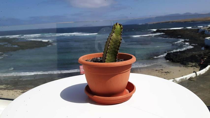 Appartement de vacances pour 4 personnes, avec terrasse - 1