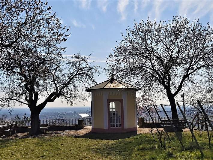 Ferienwohnung für 3 Personen, mit Balkon und Garten, kinderfreundlich in Neustadt an der Weinstraße - 4