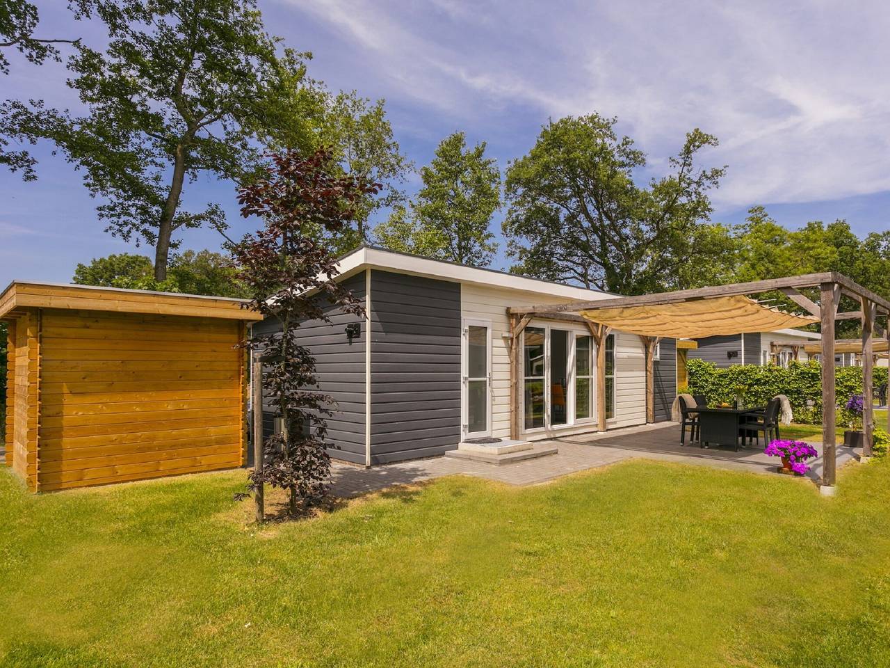 Zonovergoten chalet bij de vijver in Lochem, Achterhoek