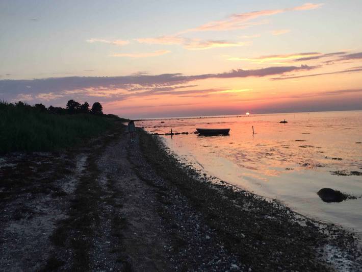 Villa für 12 Personen, mit Seeblick und Garten sowie Ausblick, mit Haustier auf Seeland - 4